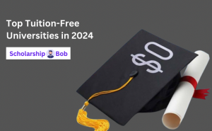 Top Tuition-Free Universities for International Students in 2024
